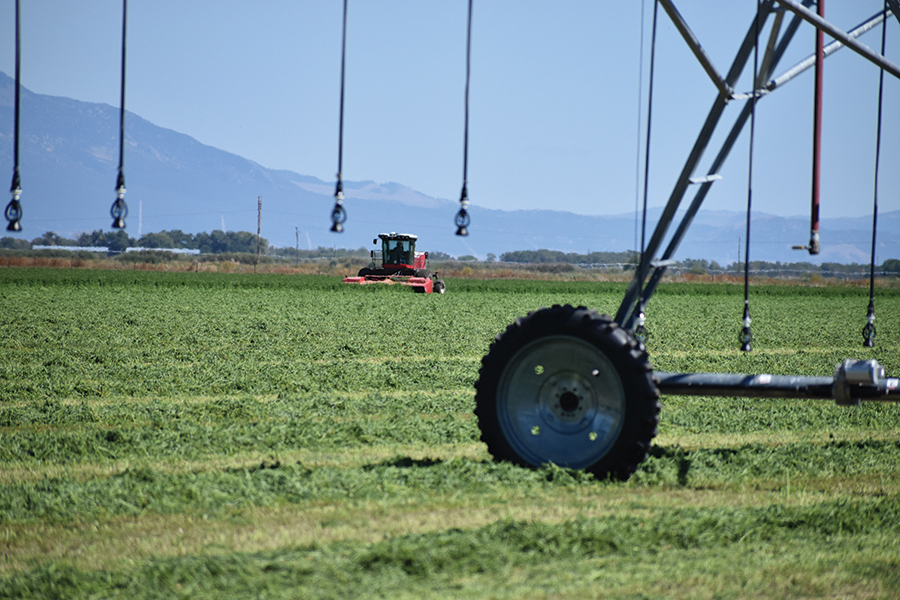 alphajoule applied by pivot irrigator