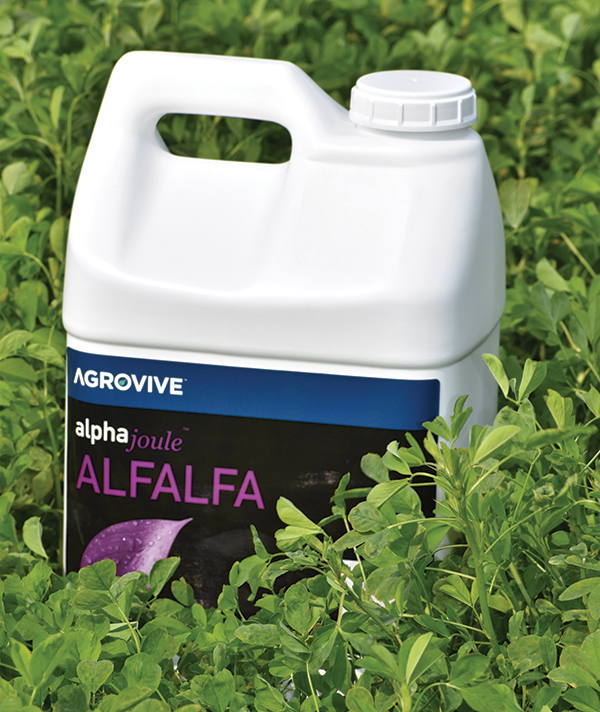 a jug of alphajoule Biostimulant for alfalfa plants in a field of alfalfa